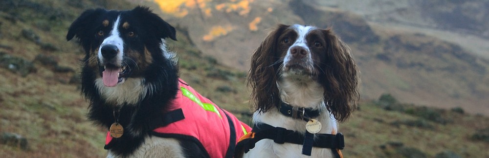 Cornwall Search and Rescue Team